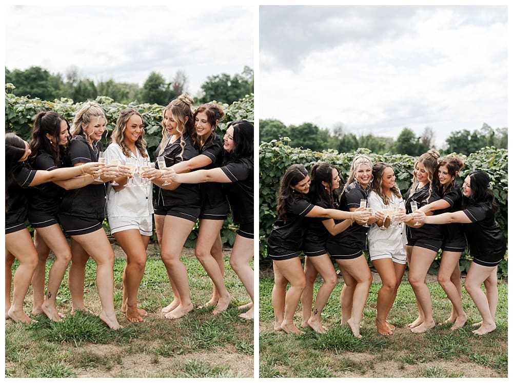 Wedding at Lake Shore Vineyards