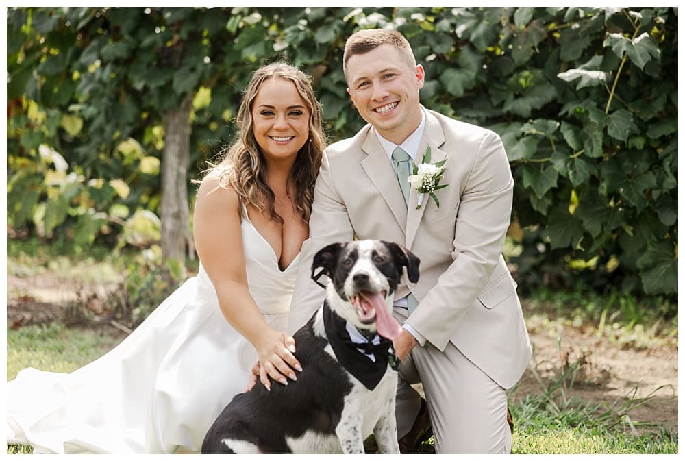 Wedding at Lake Shore Vineyards