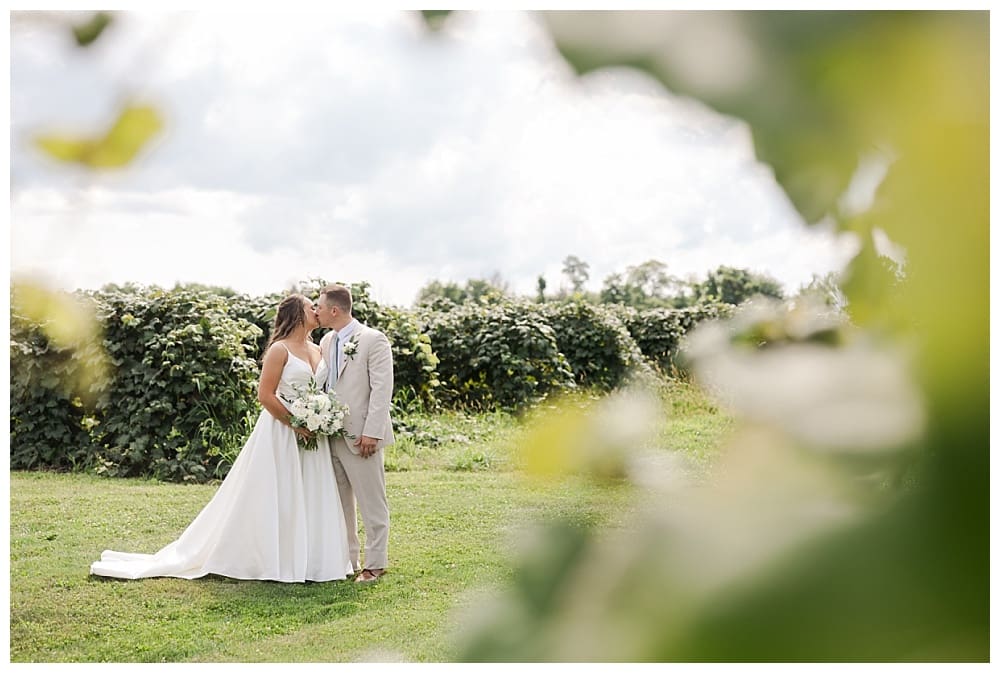 Wedding at Lake Shore Vineyards