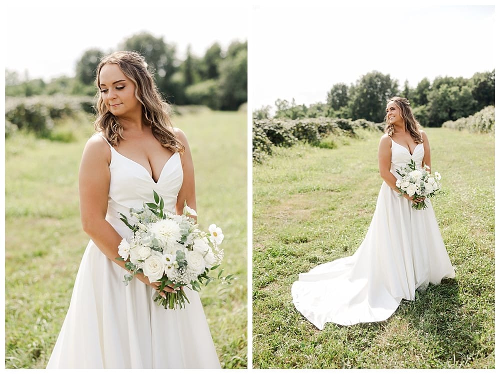 Wedding at Lake Shore Vineyards