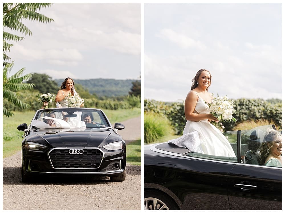 Wedding at Lake Shore Vineyards