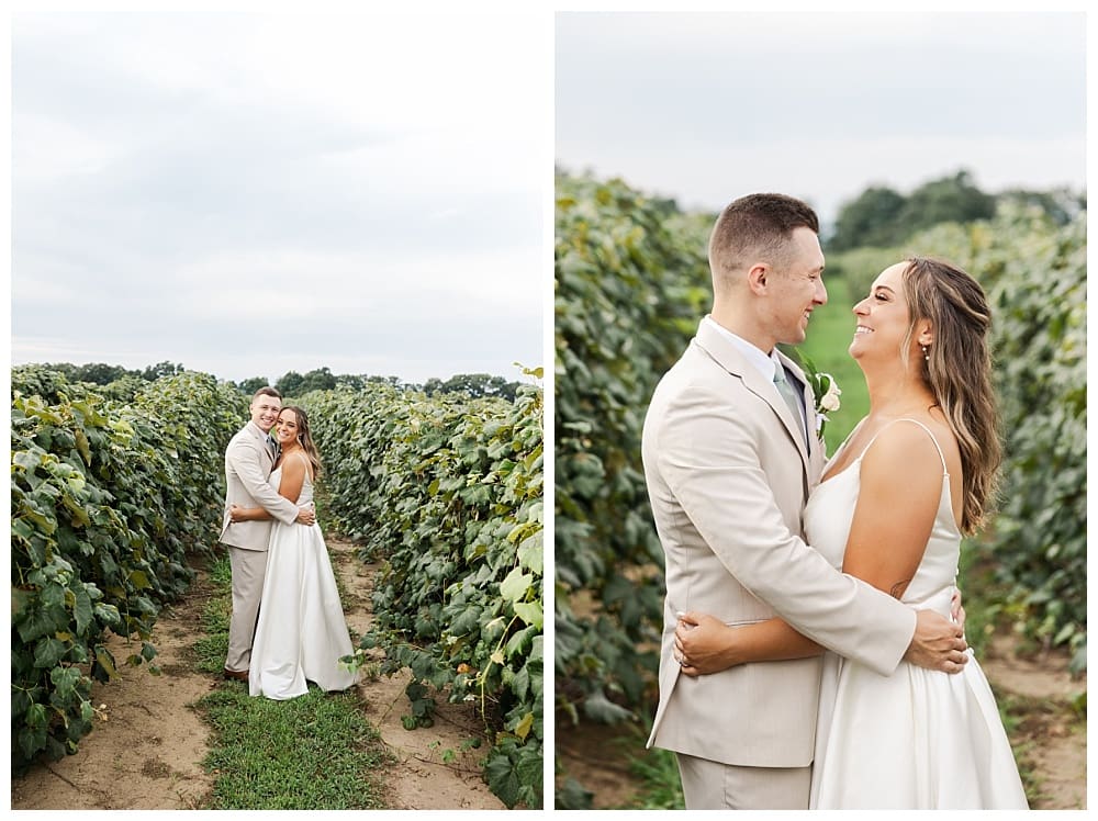 Wedding at Lake Shore Vineyards