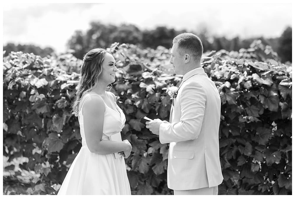 Wedding at Lake Shore Vineyards