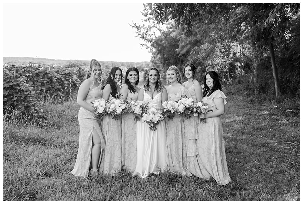 Wedding at Lake Shore Vineyards
