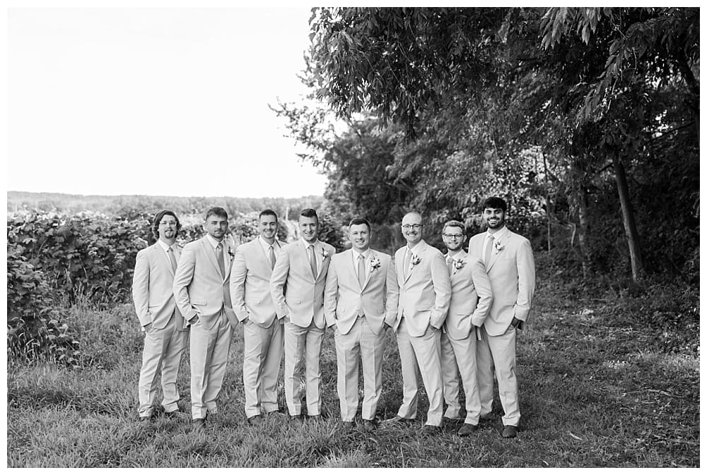 Wedding at Lake Shore Vineyards