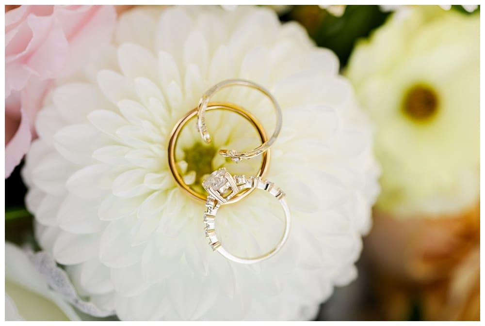 Stoltzfus Homestead and Gardens Wedding