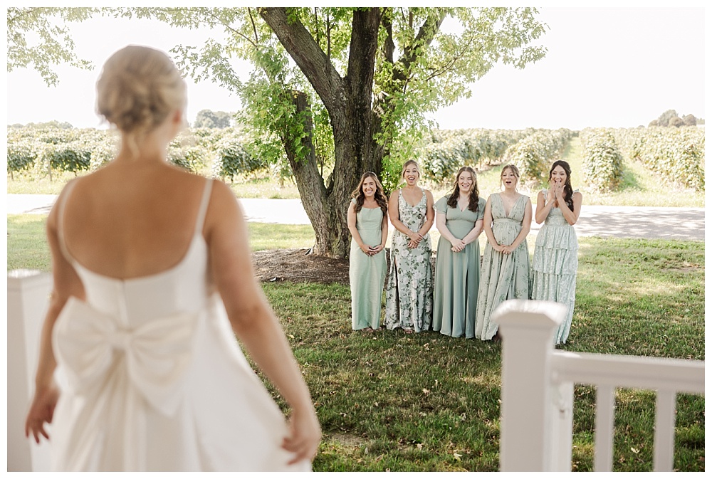 Wedding at Lakeshore Vineyards