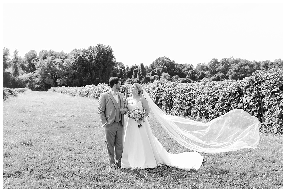 Wedding at Lakeshore Vineyards