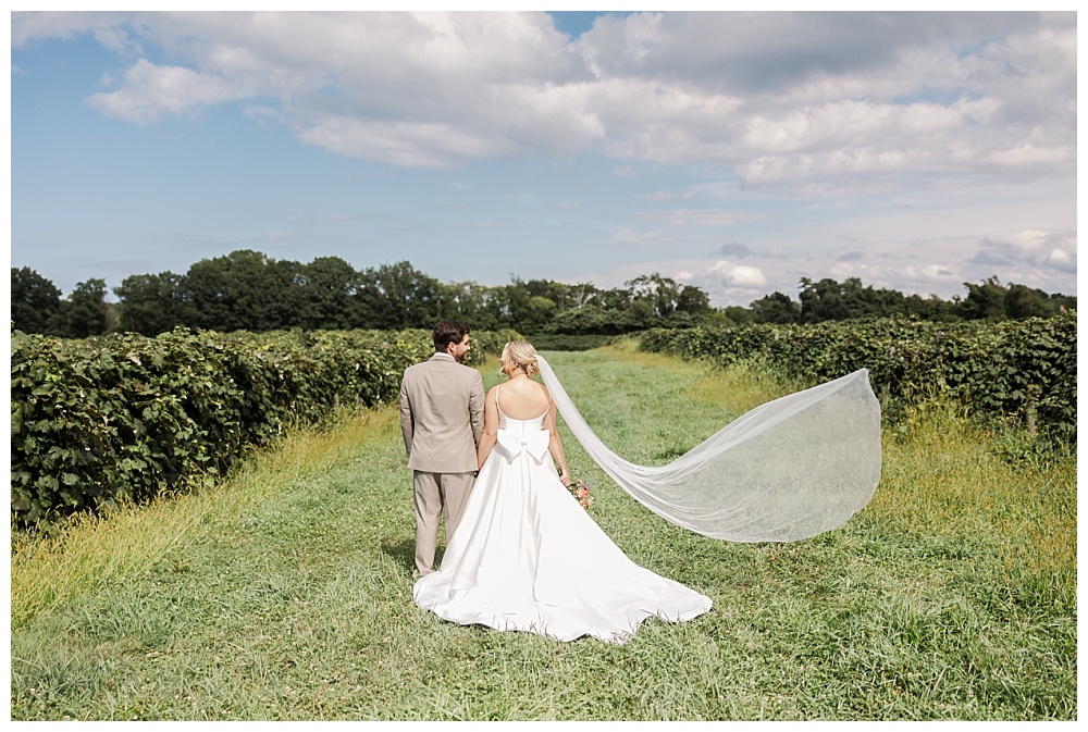 Wedding at Lakeshore Vineyards