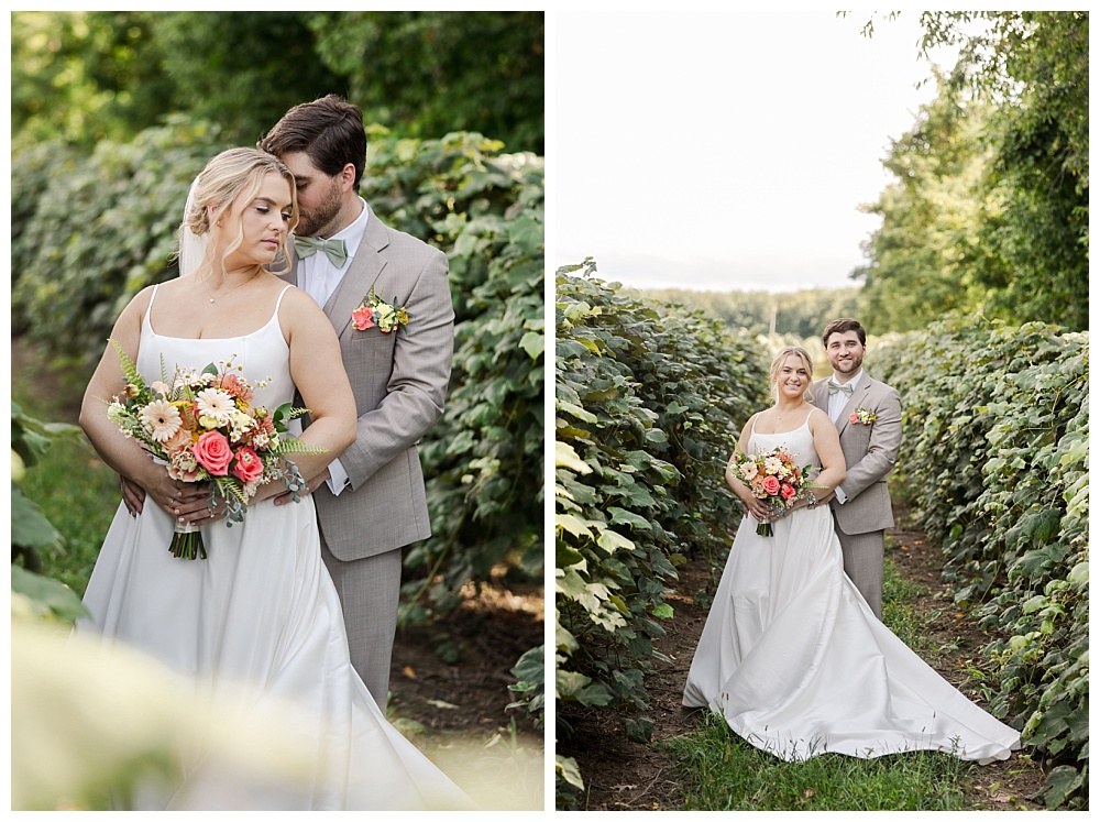 Wedding at Lakeshore Vineyards