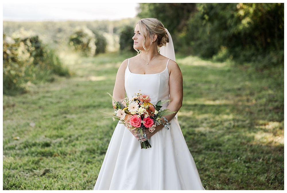 Wedding at Lakeshore Vineyards