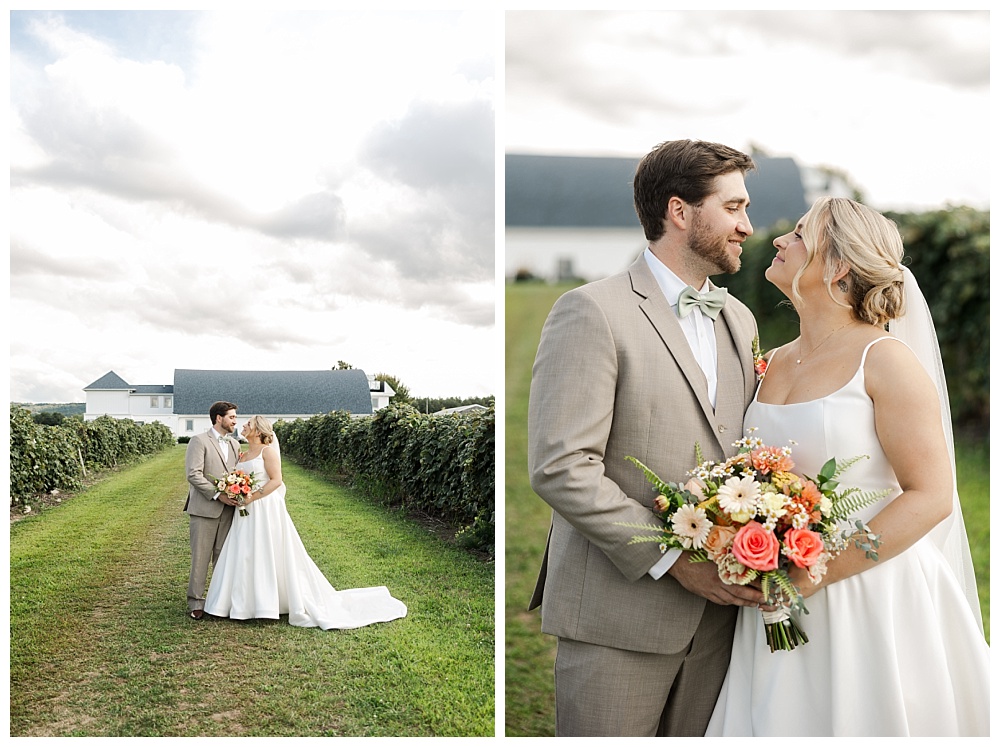 Wedding at Lakeshore Vineyards