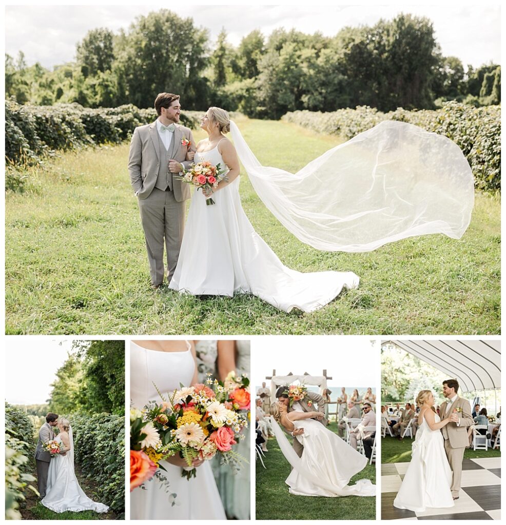 Wedding at Lakeshore Vineyards