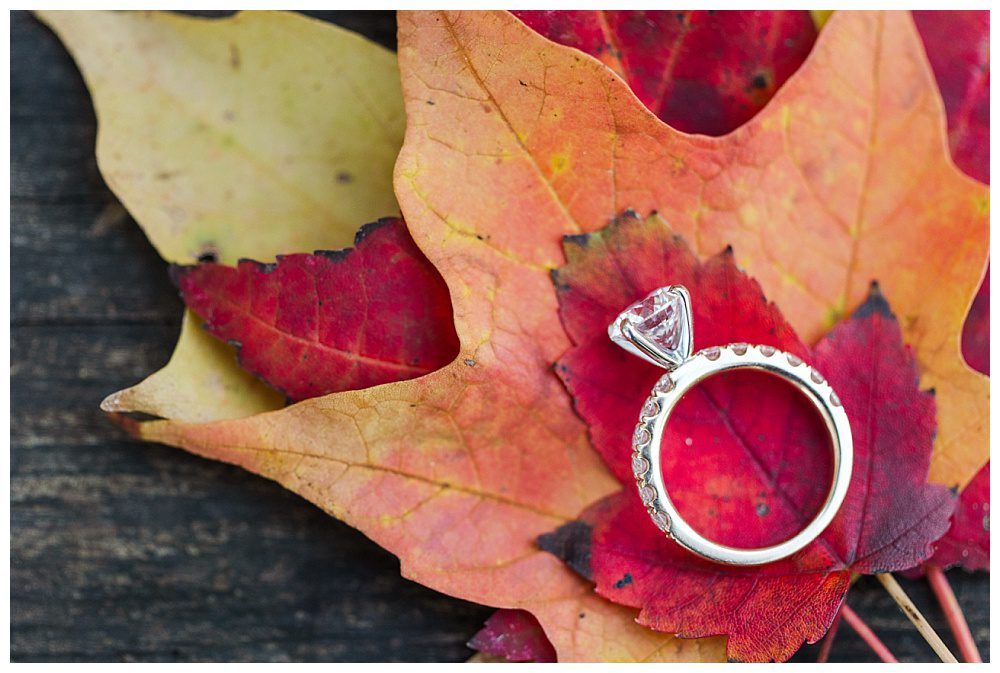 Perfect Fall Engagement