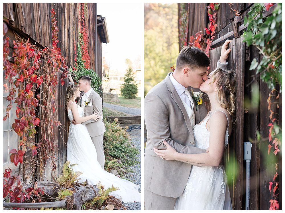 A Hundred Wood Hollow Wedding