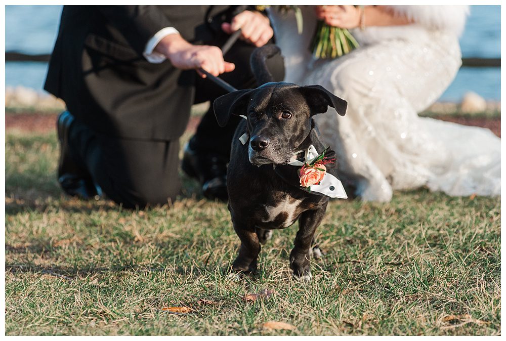 PenRyn Estates Winter Wedding